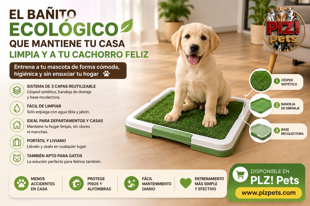 Baño ecológico para perros — Portátil y sin pasto
