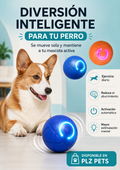 Juguete saltarín para perros