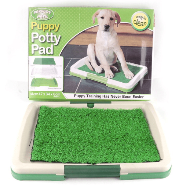 Baño ecológico para perros — Portátil y sin pasto
